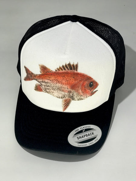 Menpachi Trucker